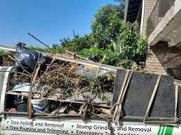 Best Attic Cleanout  in Liberty, IN